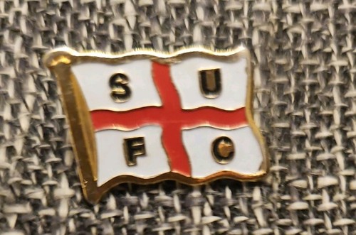 Badge anstecker pin - badge,